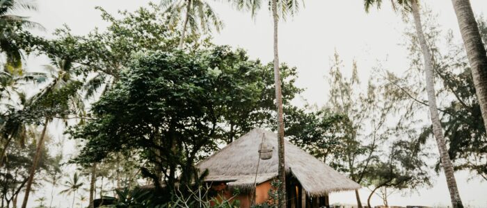 pexels-alesiakozik-5993097